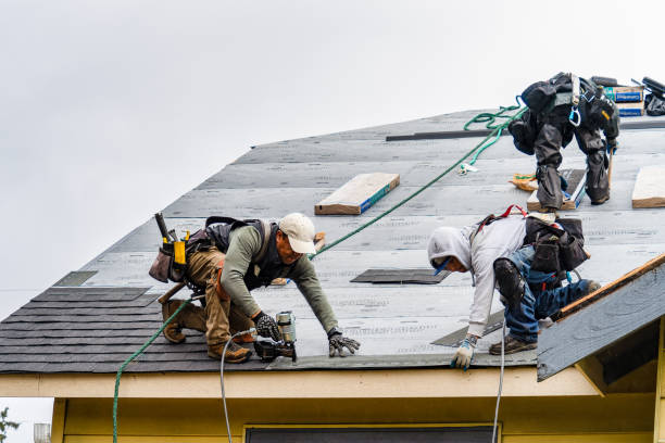 Professional Gutter Installation technician working in Aragon, GA